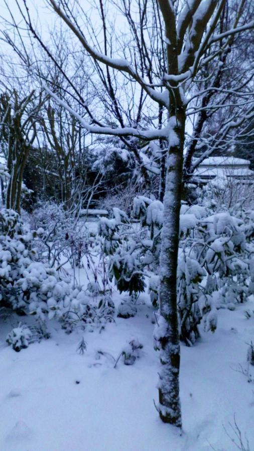 Mountain Ash Bed & Breakfast Horncastle  Bagian luar foto