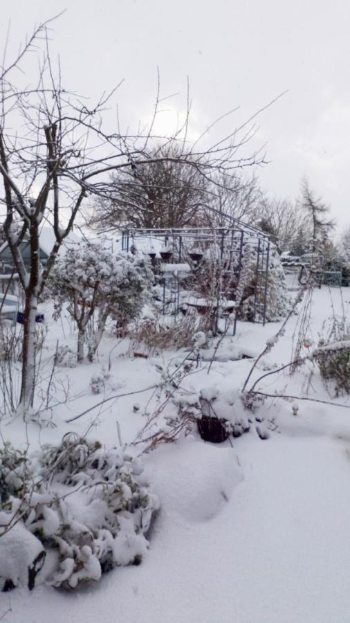 Mountain Ash Bed & Breakfast Horncastle  Bagian luar foto
